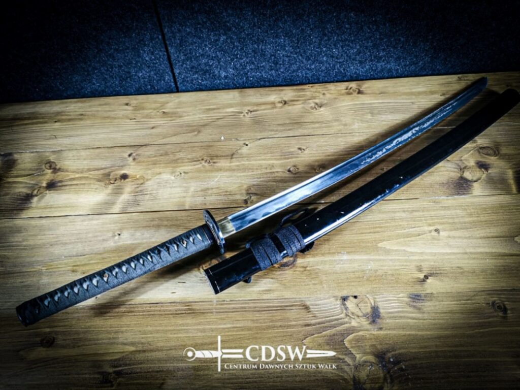 Broń i tarcze - CDSW